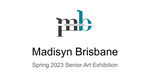 Madisyn Brisbane Senior Art Exhibition Portfolio