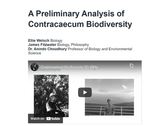 A Preliminary Analysis of Contracaecum Biodiversity