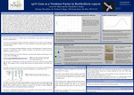 vgrG Gene as a Virulence Factor in Burkholeria cepacia by Lexie Matte