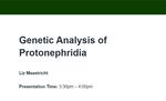 Genetic Analysis of Protonephridia by Liz Maastricht