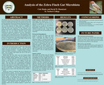 Analysis of the Zebra Finch Gut Microbiota