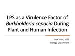 LPS as a virulence factor of Burkholderia cepacia during plant and human infection