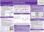 Characterizing the role of the Burkholderia cepacia Type Six Secretion System in interbacterial competition by Emily Landolt and Lexie Matte