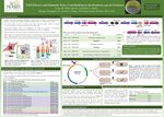 T6SS effector and immunity pairs: Contributions to Burkholderia cepacia virulence by Lexie Matte