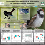 Physiological effects of artificial light at night on two cavity-nesting passerines