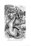 Fastened to the saddle was the body of a great dragon, Phantastes Chapter 23 by Arthur Hughes